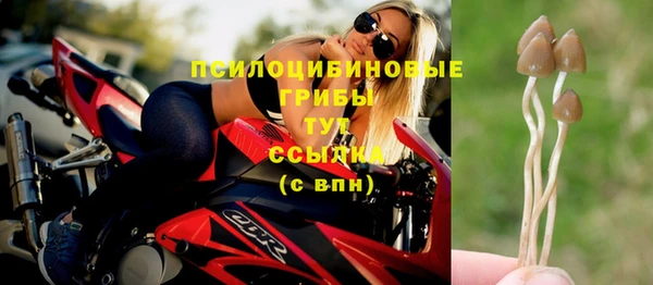 марки nbome Горнозаводск