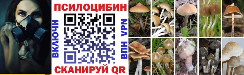 Псилоцибиновые грибы прущие грибы  купить  сайты  сайты даркнета Telegram  Черкесск 