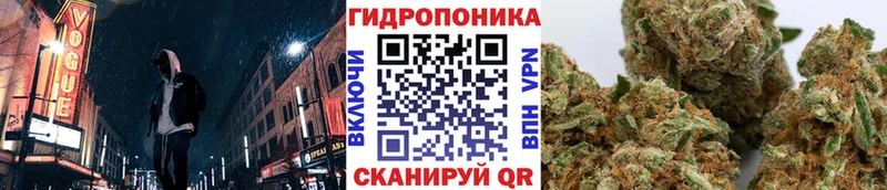 сколько стоит  Черкесск  Конопля сатива 
